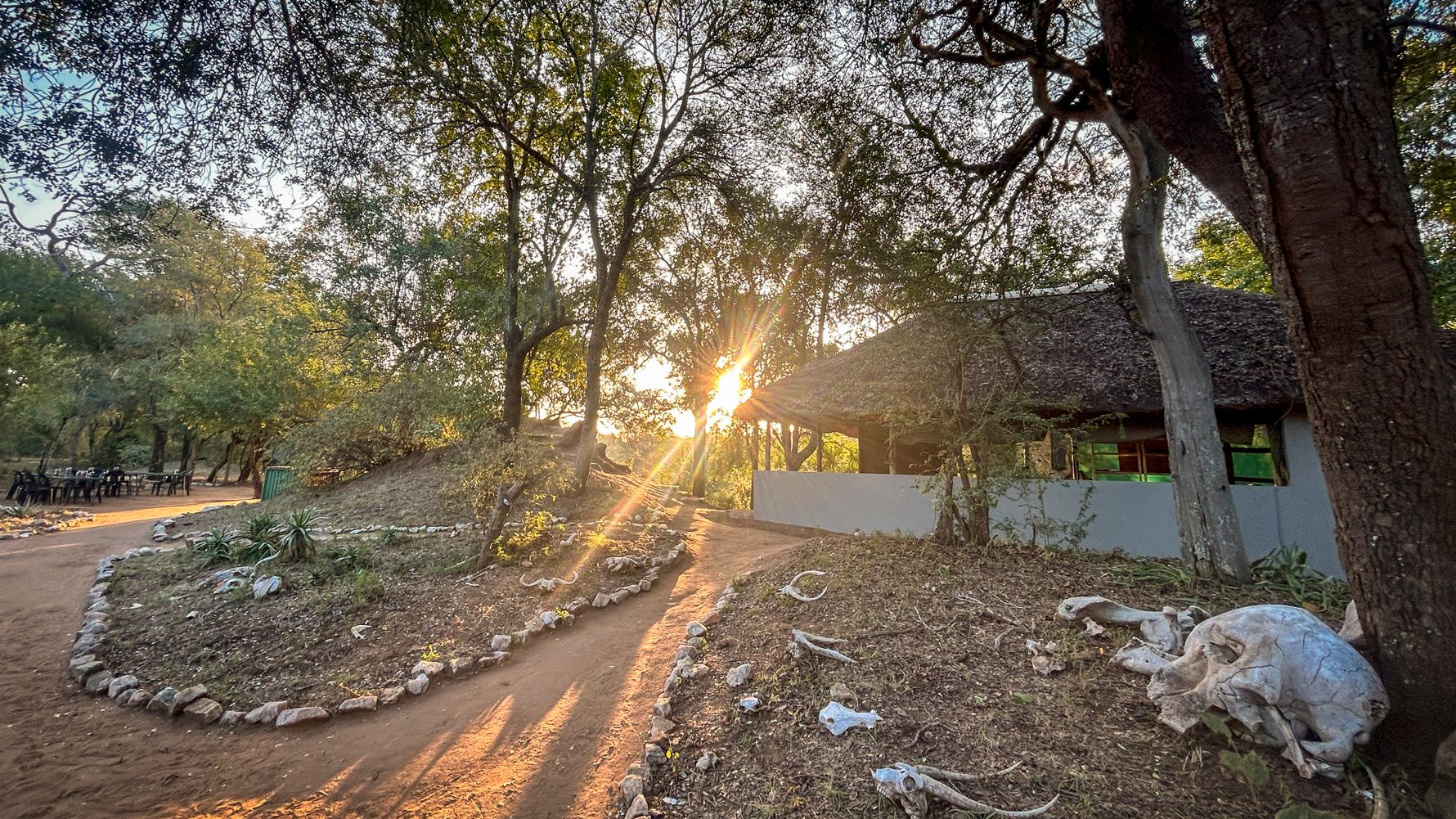 bushwise-camp-selati-sun