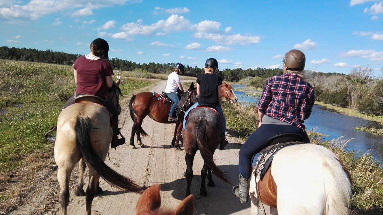 Freiwilligenarbeit in Florida: Mehrere Volunteere reiten mit ihren Pferden aus