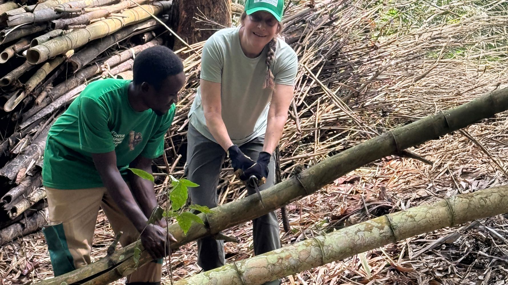 Two man mantaining bamboo