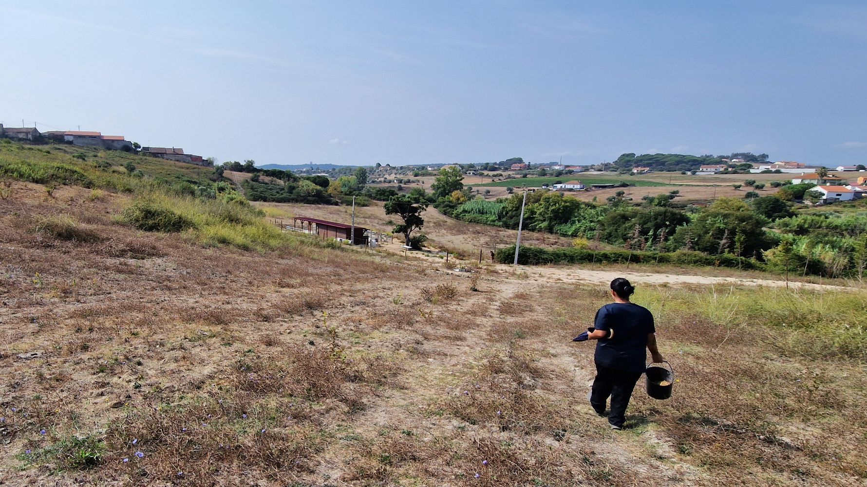 natucate-blog-review-portugal-animal-welfare-meghan-dry-landscape