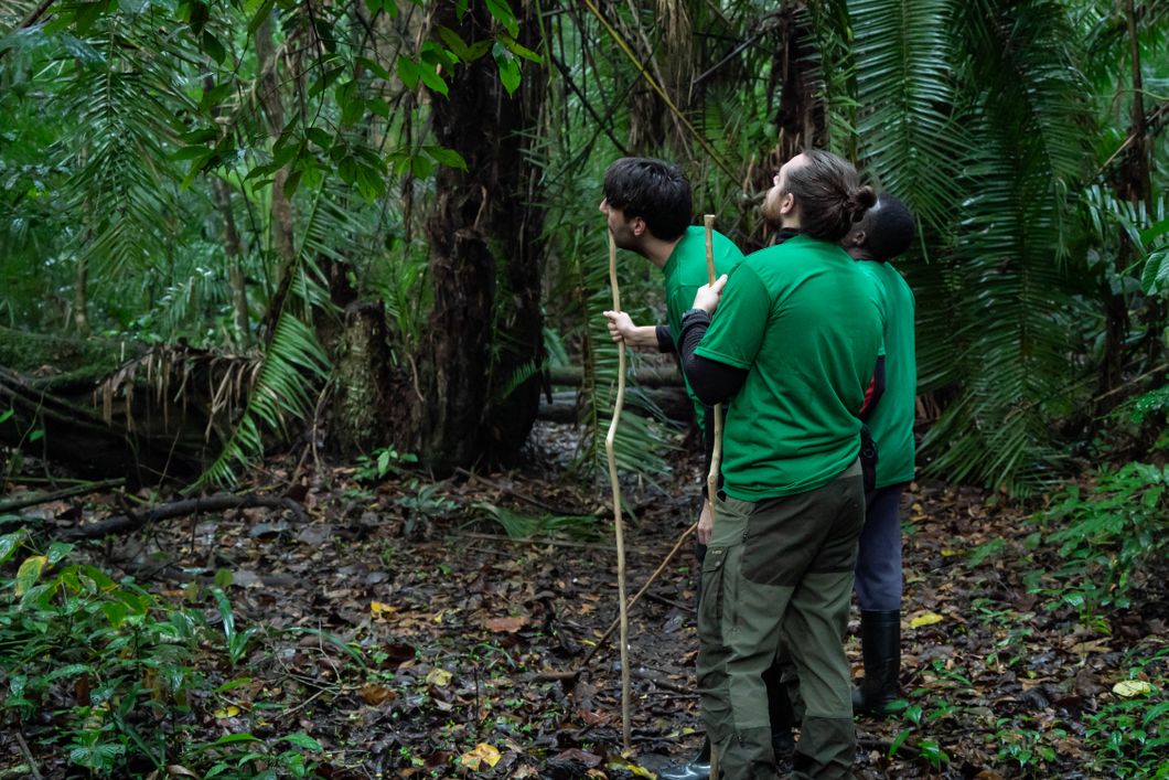 natucate-volunteering-uganda-chimpanzee-project-forest-excursion-three-people