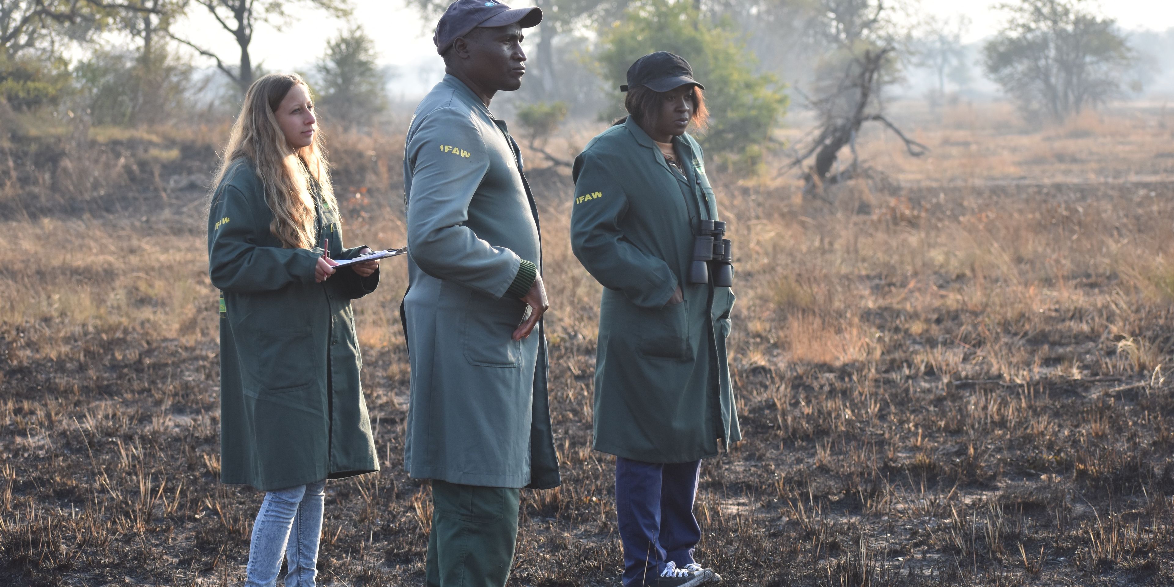 Zwei Volunteers und ein Teamleiter des Elefantenprojekts in Sambia stehen zusammen und beobachten Elefanten