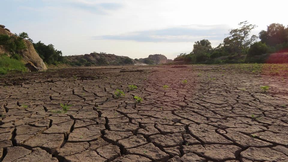 erfahrungsberichte-suedliches-afrika-pfg-rangerausbildung-kundenfotos-duerre-natucate