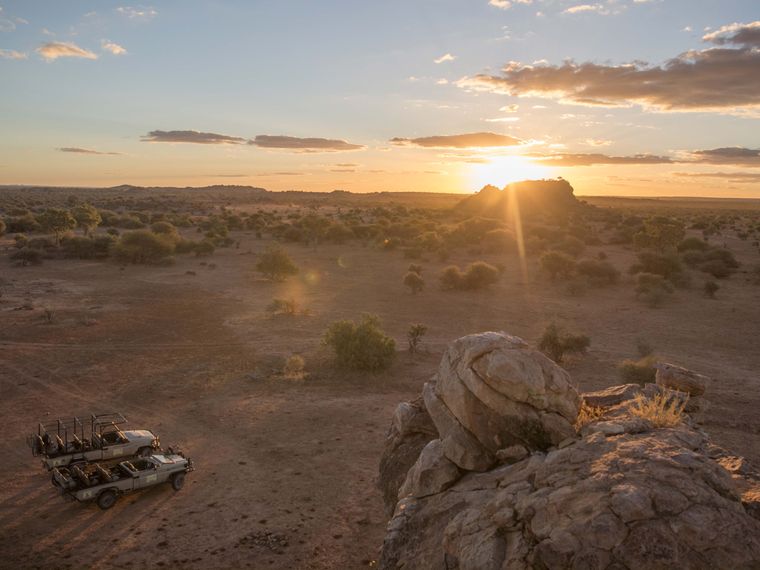 blog-ratgeber-safari-tagesablauf-savanne-natucate