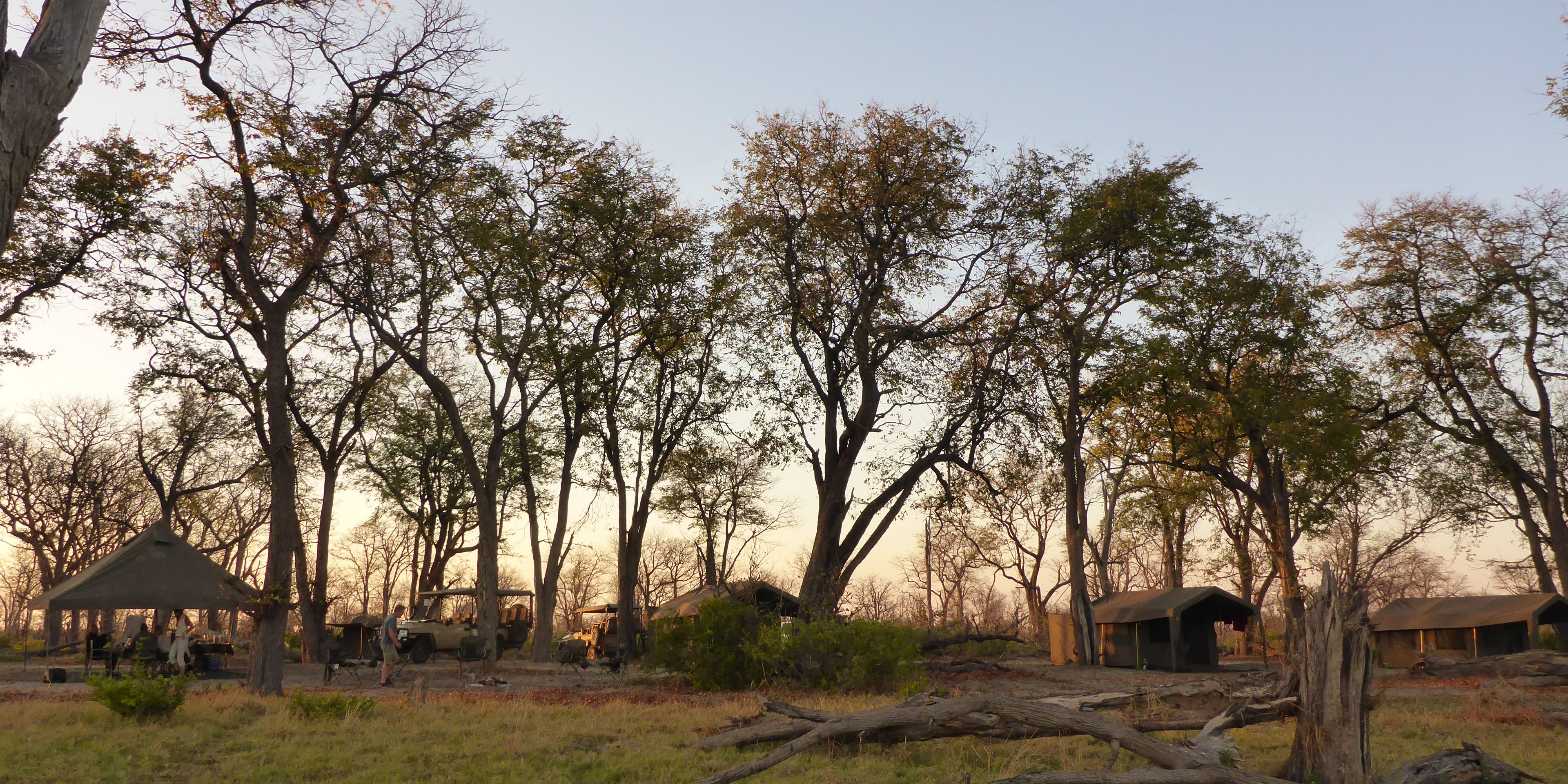 safari-botswana-okavango-delta-northern-highlights-camp-panorama-natucate