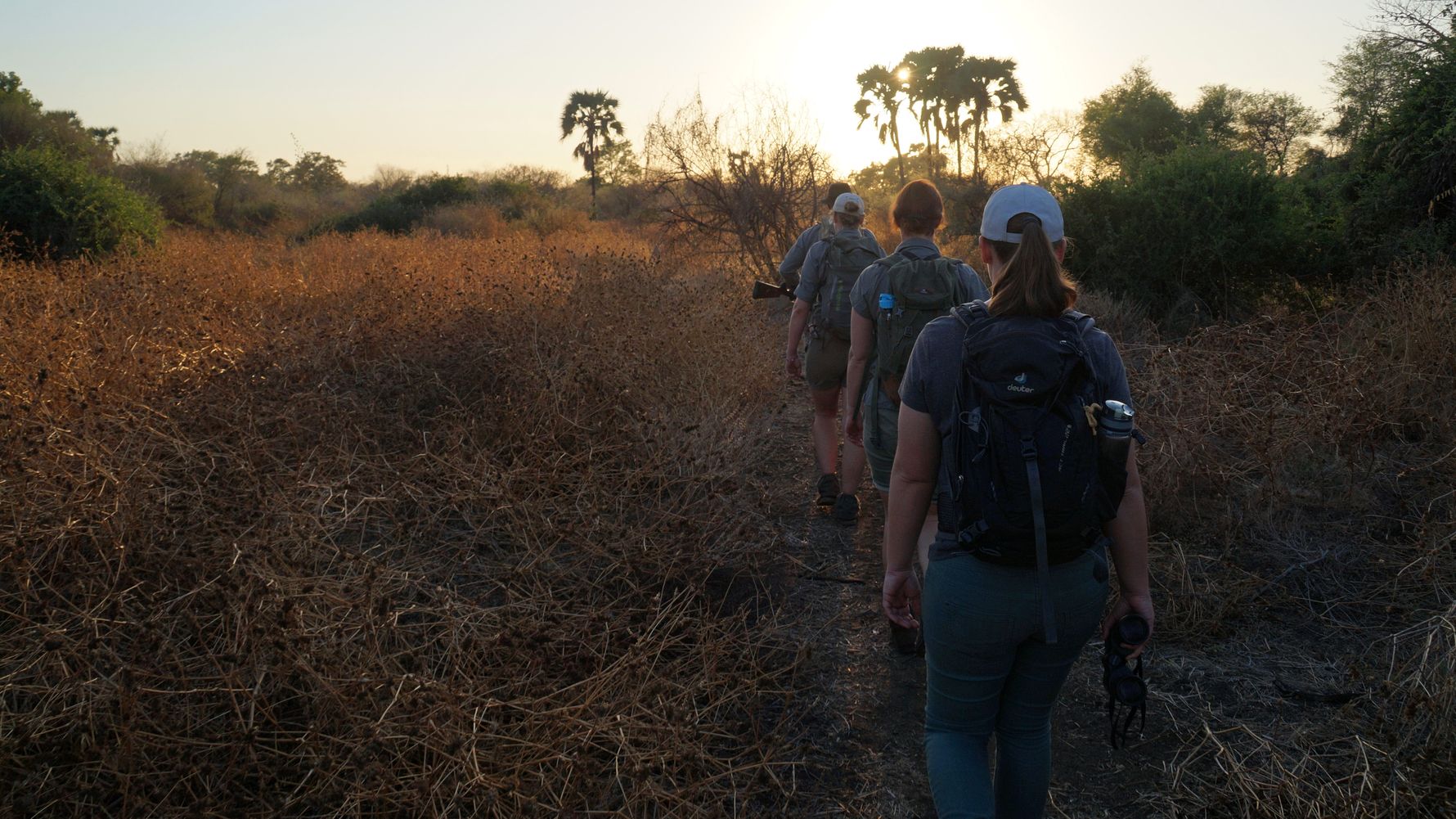erfahrungsbericht-ecoquest-suedafrika-corinna-game-walk-natucate