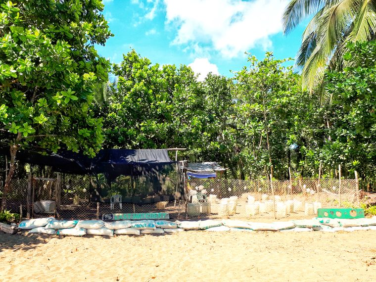 erfahrungsberichte-freiwilligenarbeit-costa-rica-schildkroetenschutz-stefanie-strand-regenwald-natucate