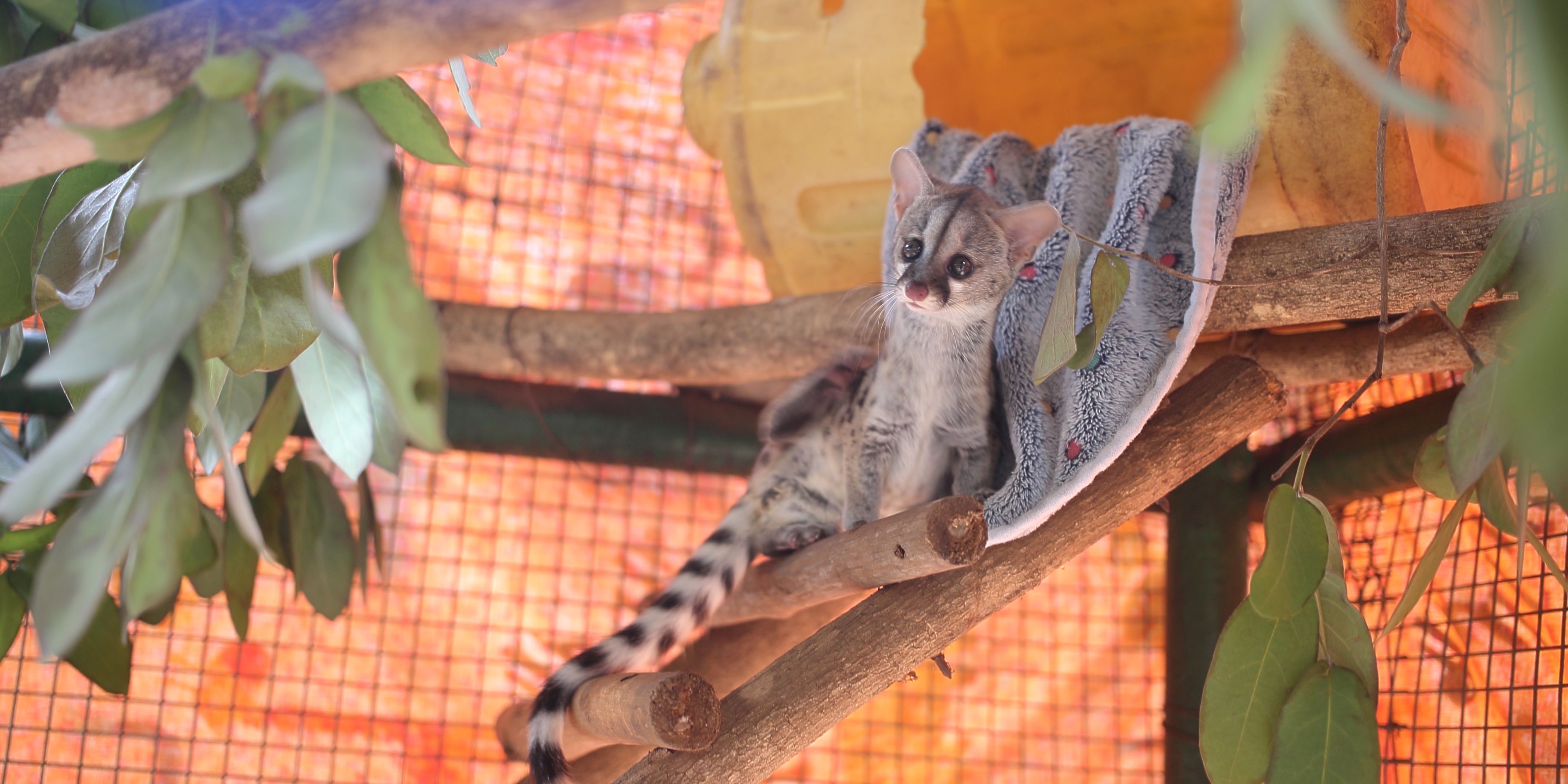 natucate-malawi-lilongwe-volunteer-genet