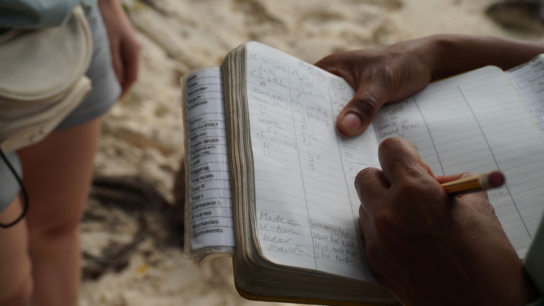 blog-sabbatjahr-vertrag-arbeitgeber-arbeit-natucate