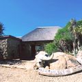 suedafrika-eastern-cape-camp-ulovane-natucate