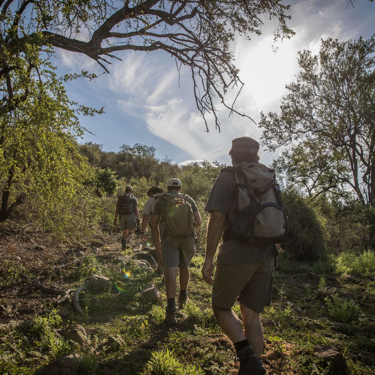 suedafrika-erfahrungsbericht-rangerausbildung-kundenfotos-landschaften-natucate