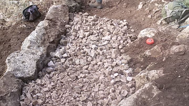 freiwilligenarbeit-usa-north-carolina-erfahrungsbericht-naturschutz-arbeiten-natucate