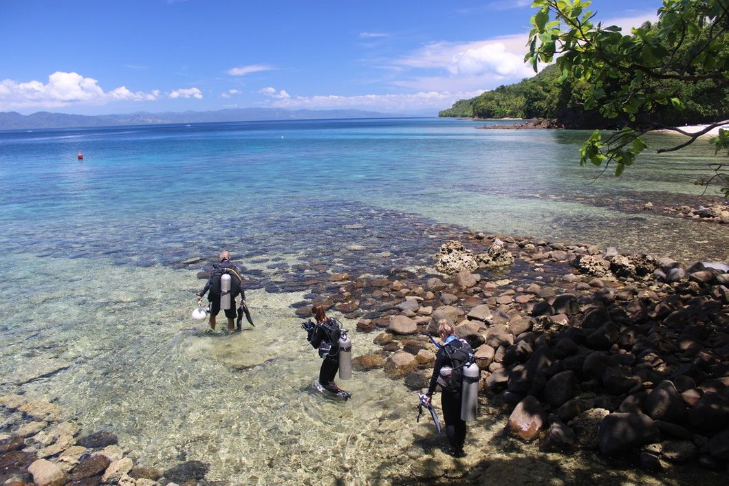 Three volunteers in the Philippines are wading through the water, getting ready for a scuba dive