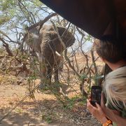 erfahrungsberichte-naturausbildung-fgl1-babett-elefant