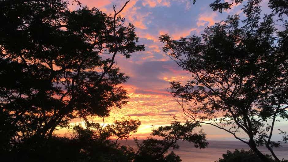 erfahrungsbericht-praktikum-costa-rica-artenschutz-himmel-natucate