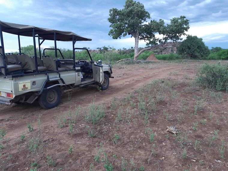 erfahrungsberichte-rangerkurs-field-guide-level-1-afrika-leila-4x4-gelaendewagen-natucate
