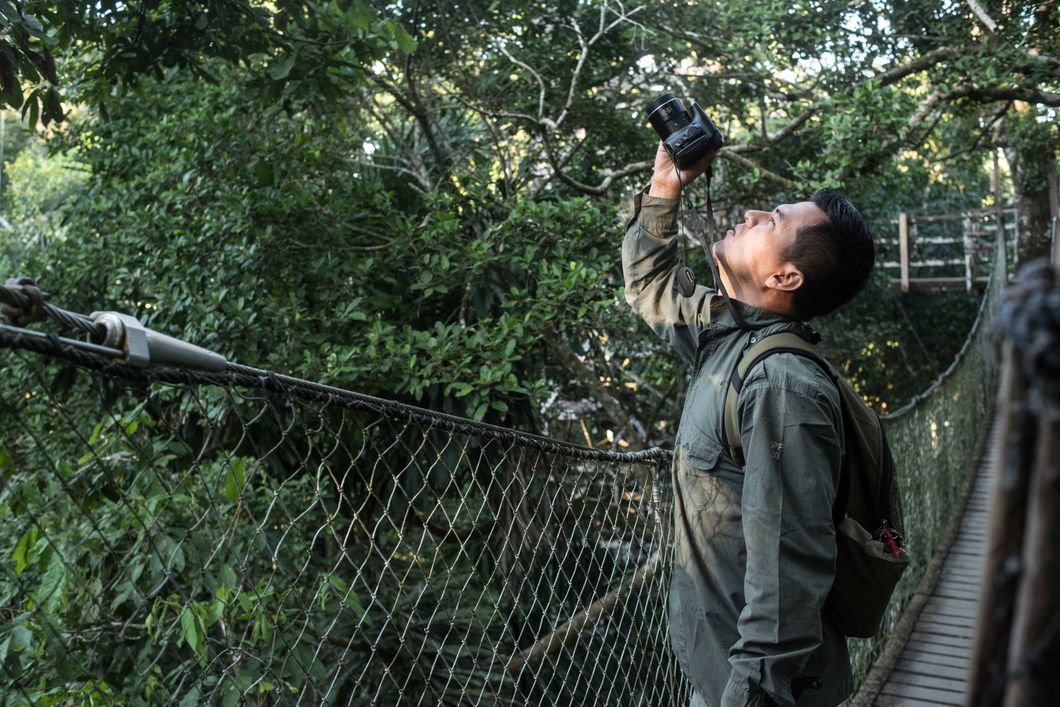 Studenten auf einer gefuehrten Rangertour laufen auf Stegen durch den dichten Regenwald