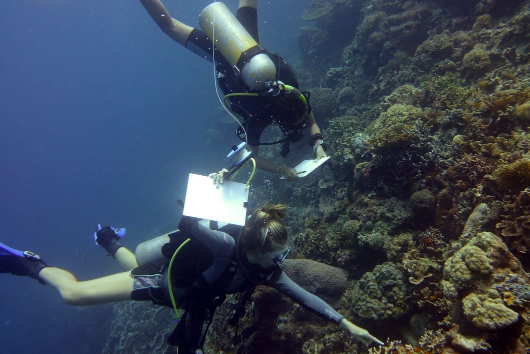 Volunteers in the Philippines are collecting data underwater