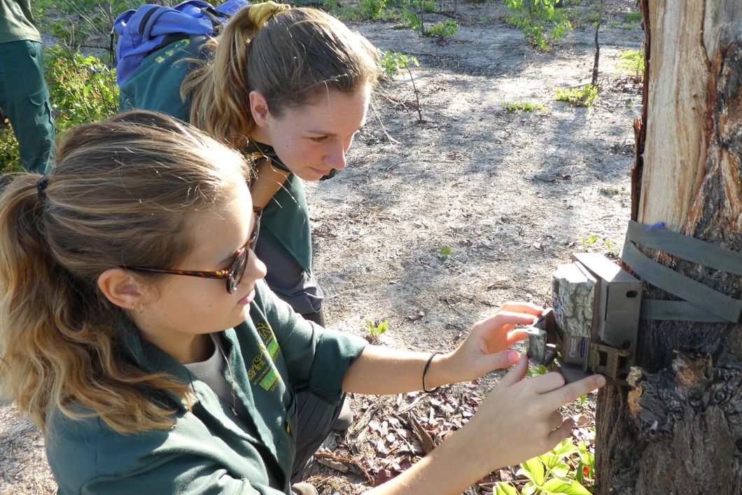 sabbatical-namibia-sambia-elefantenschutz-volunteers-kamerafalle-natucate